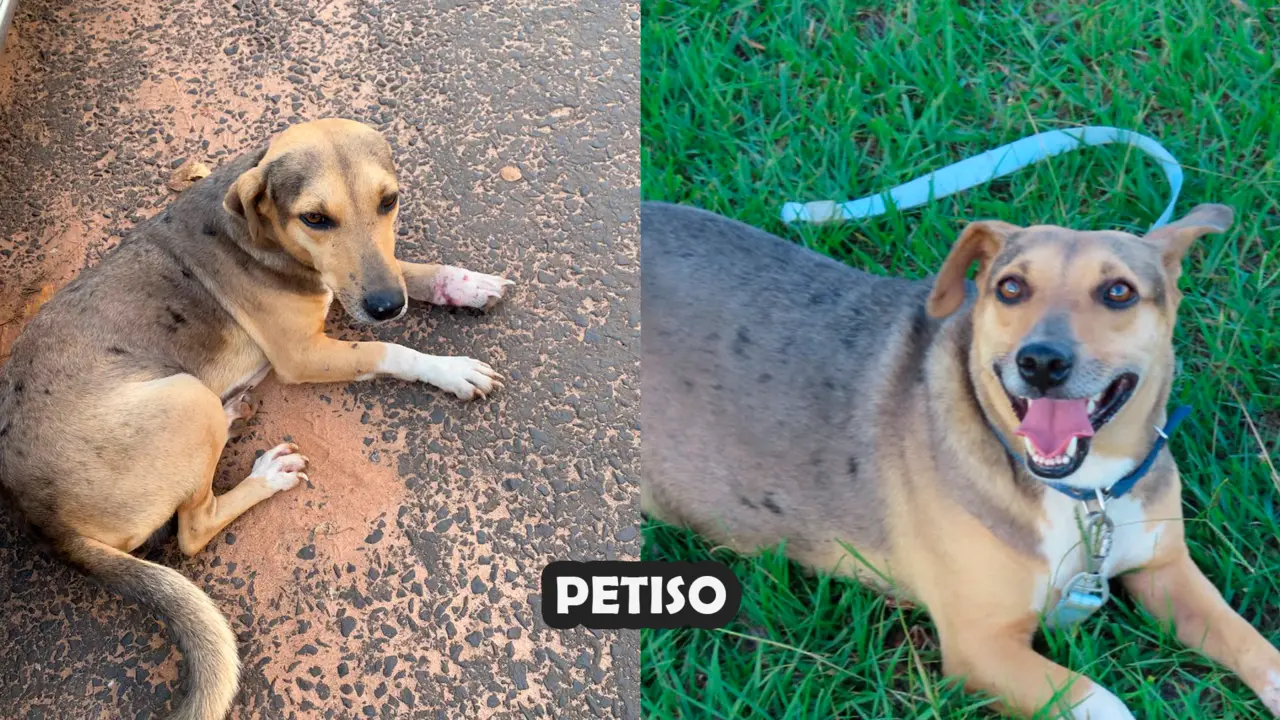 Antes y después